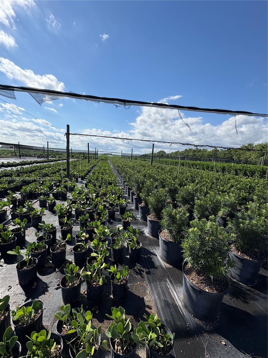 Подробнее / кв.футов $ 2025-10-07 0 Фото