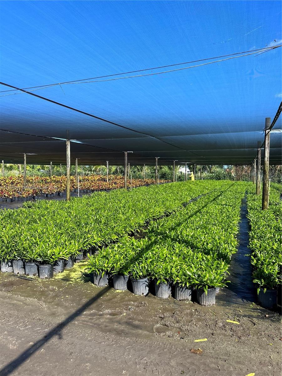 Подробнее / кв.футов $ 2025-10-07 0 Фото