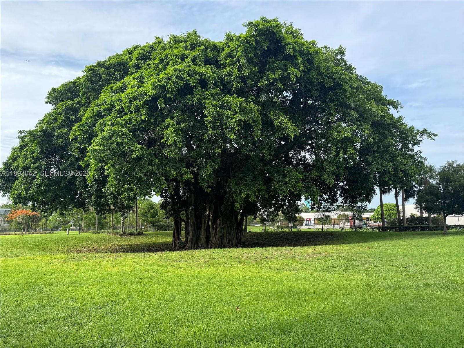 Ver detalles 1422 3 / 3 sq. ft. $ 2026-02-07 0 foto