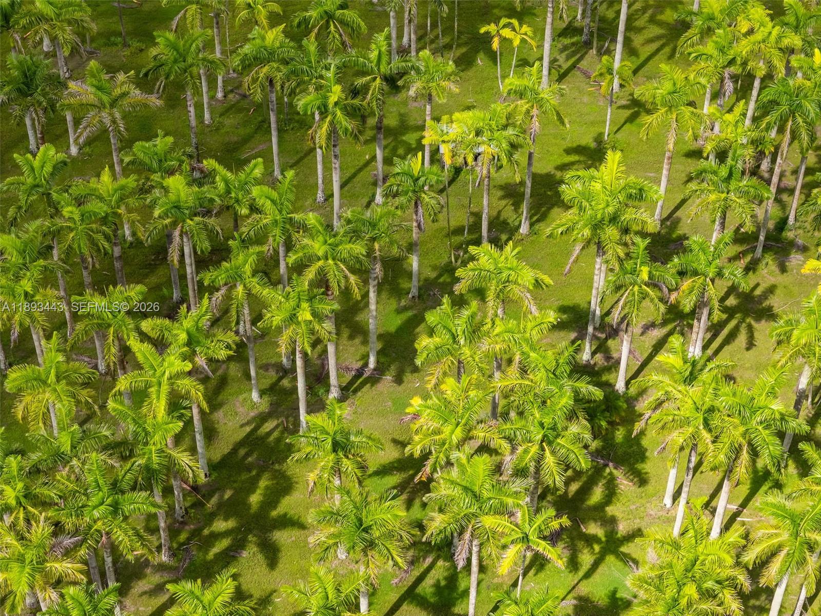   /   sq. ft. $ 2025-10-17 0 foto