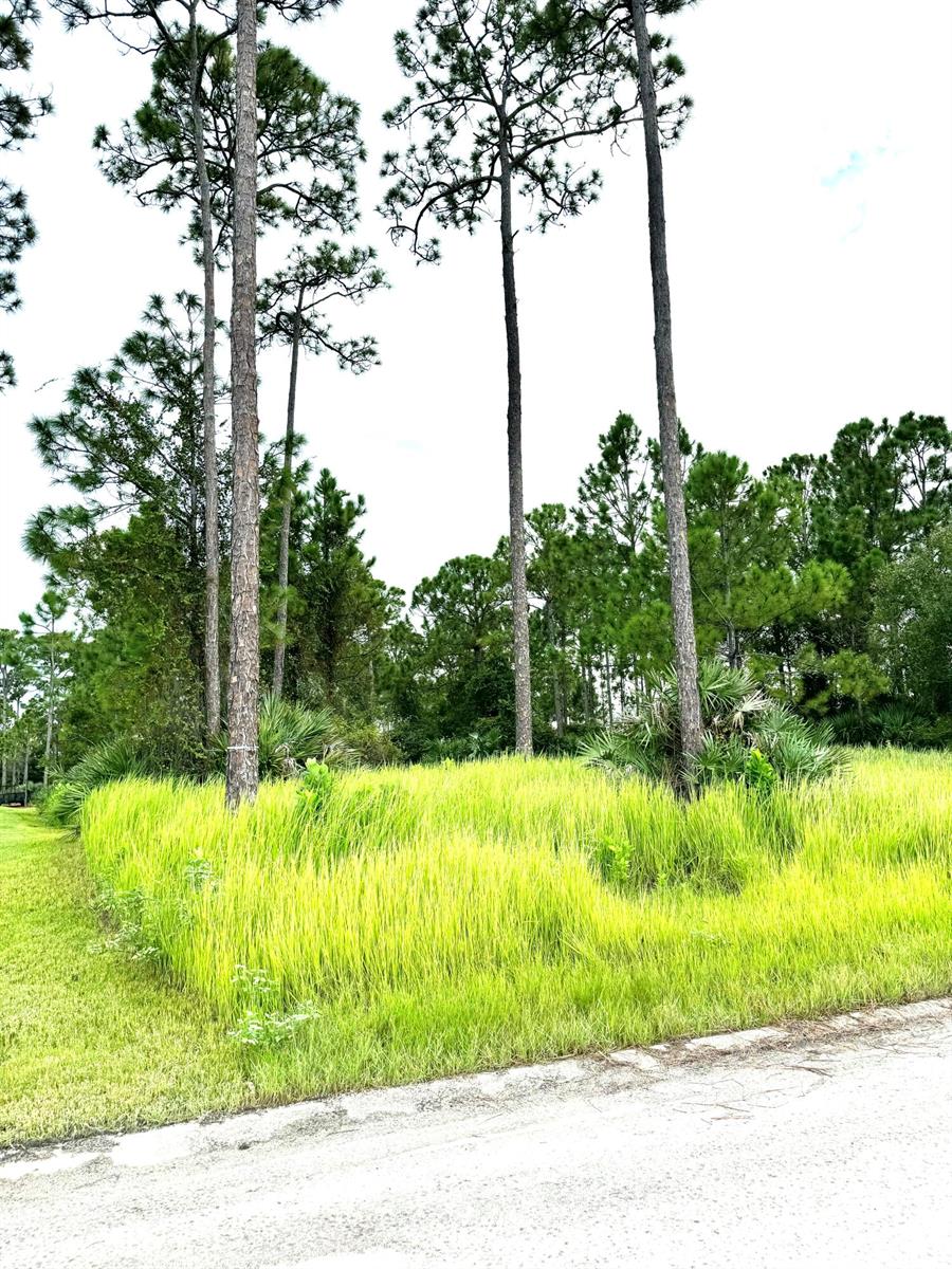   / 0  sq. ft. $ 2026-03-17 0 foto