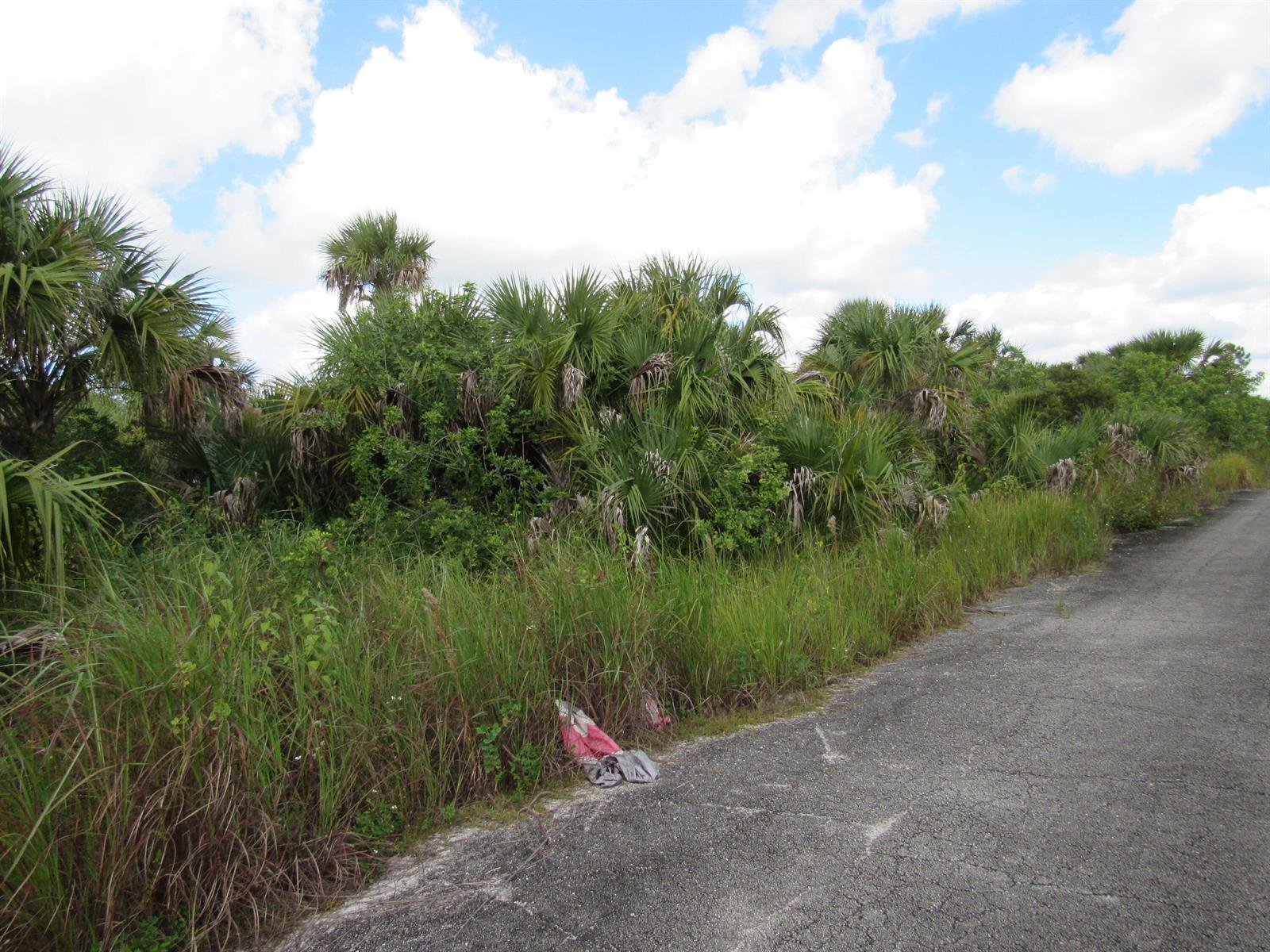   / 0  sq. ft. $ 2026-06-01 0 foto