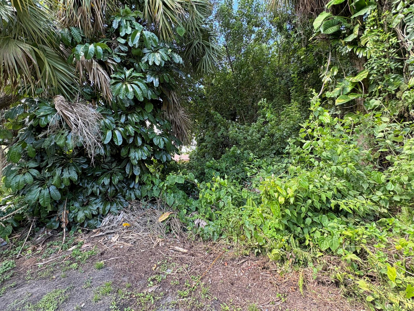Ver detalles / 0 sq. ft. $ 2026-02-16 0 foto