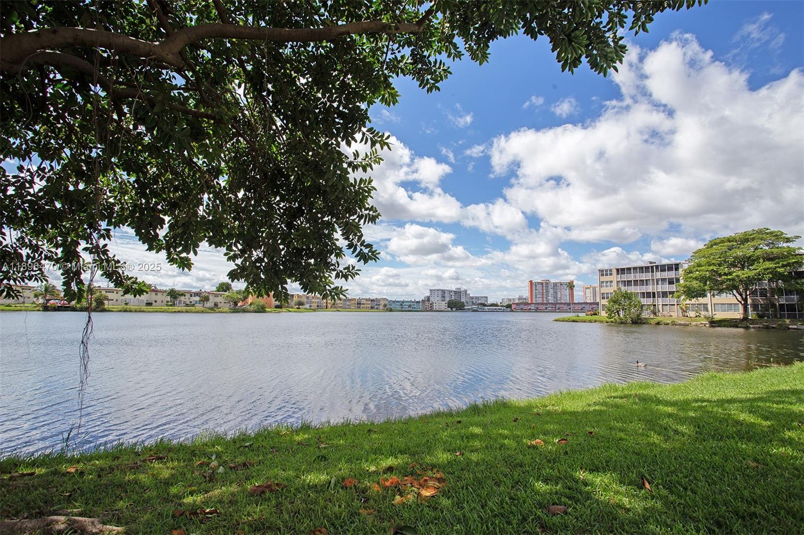 See details 309-2 2 / 2 1317 sq. ft. $ 2025-10-15 0 Photo