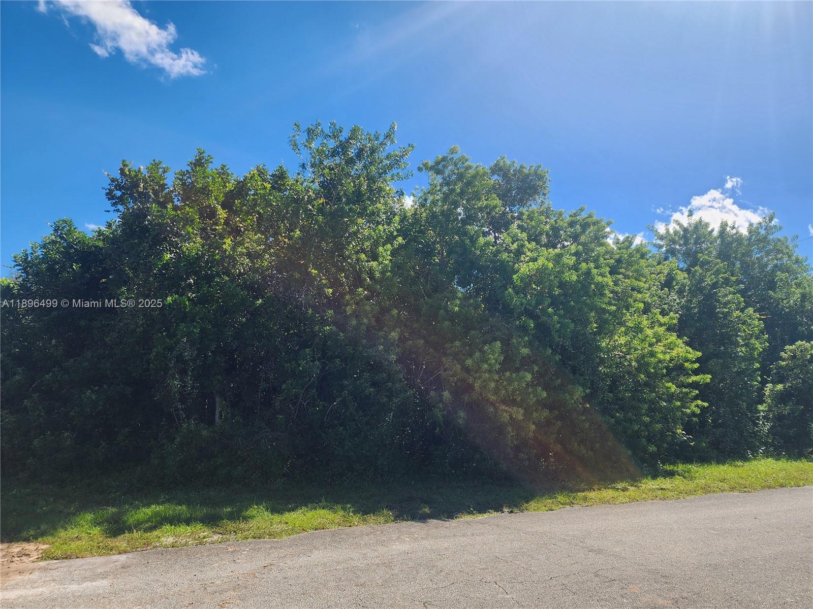 See details / sq. ft. $ 2025-10-15 0 Photo