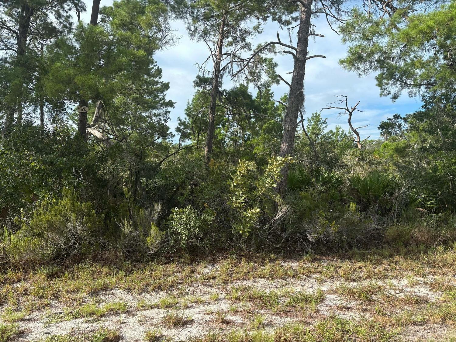 See details / 0 sq. ft. $ 2026-06-19 0 Photo