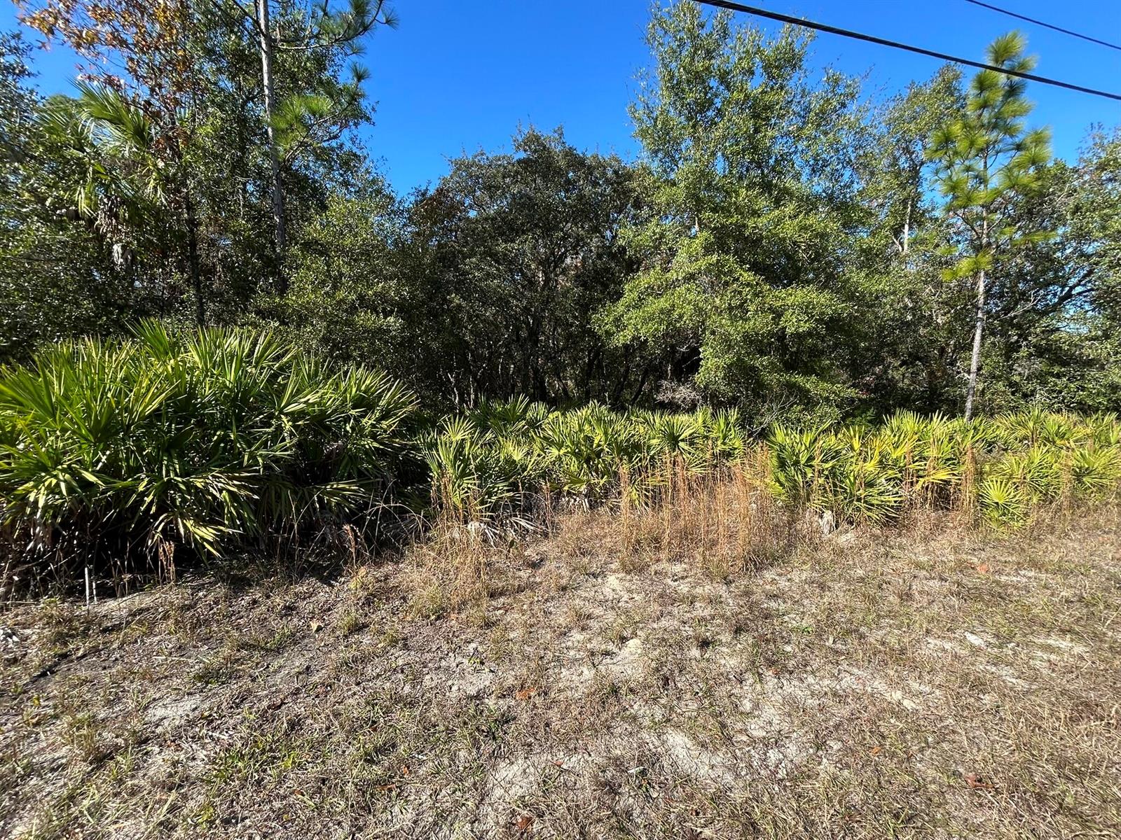   / 0  sq. ft. $ 2026-03-06 0 foto
