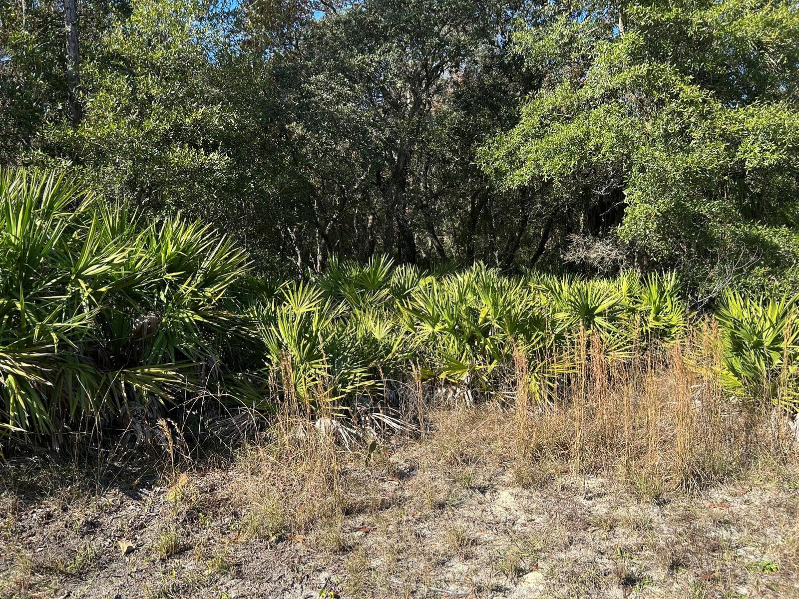   / 0  sq. ft. $ 2026-03-06 0 foto