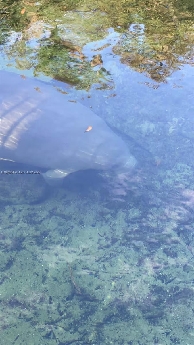 Подробнее   /   кв.футов $ 2025-10-20 0 Фото