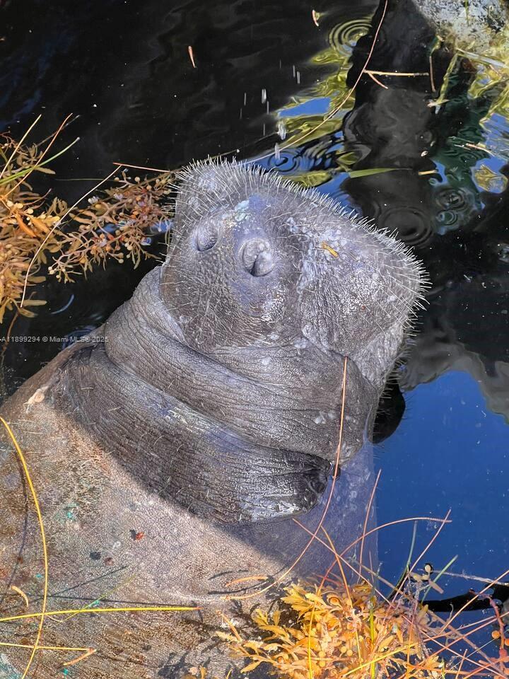 Подробнее   /   кв.футов $ 2025-10-20 0 Фото