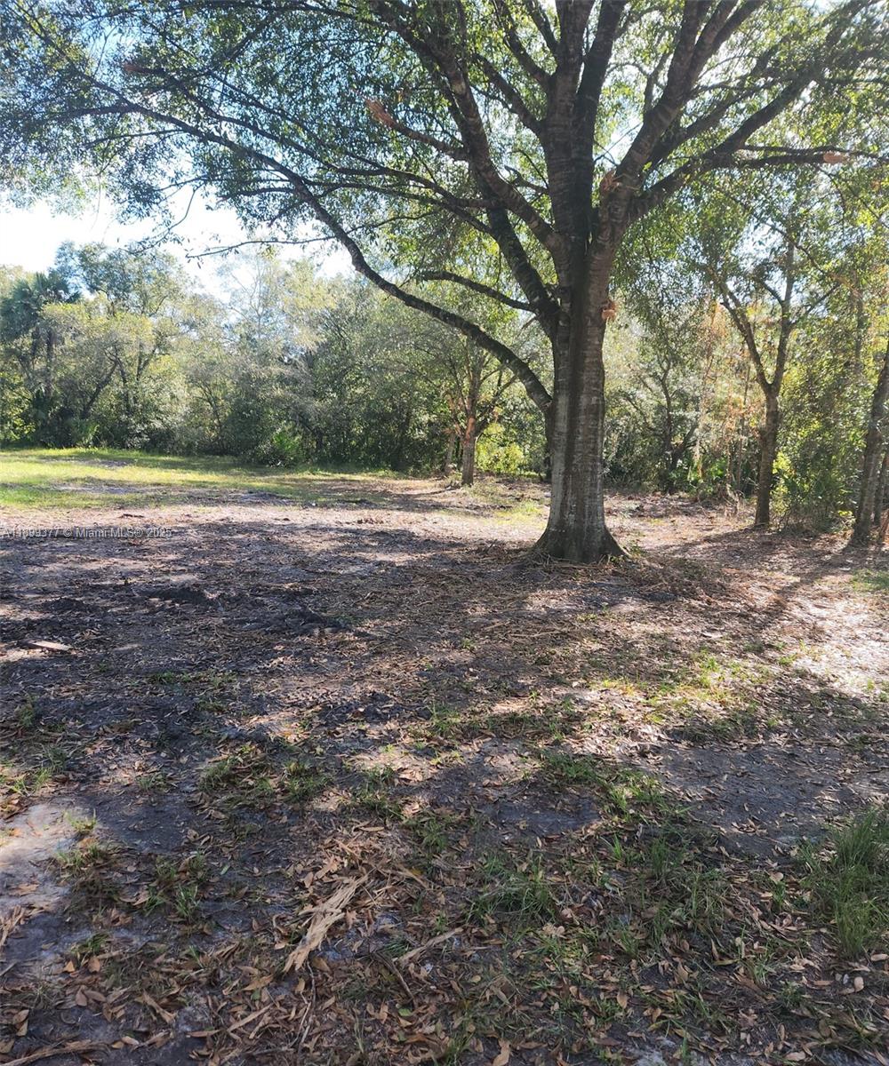 Ver detalles / sq. ft. $ 2025-11-13 0 foto