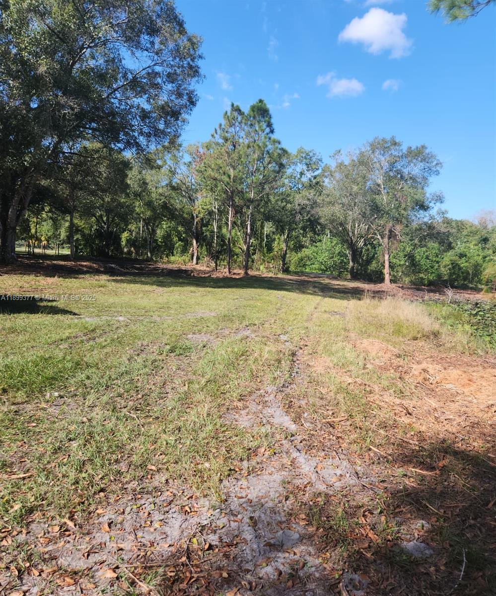 Ver detalles / sq. ft. $ 2025-11-13 0 foto