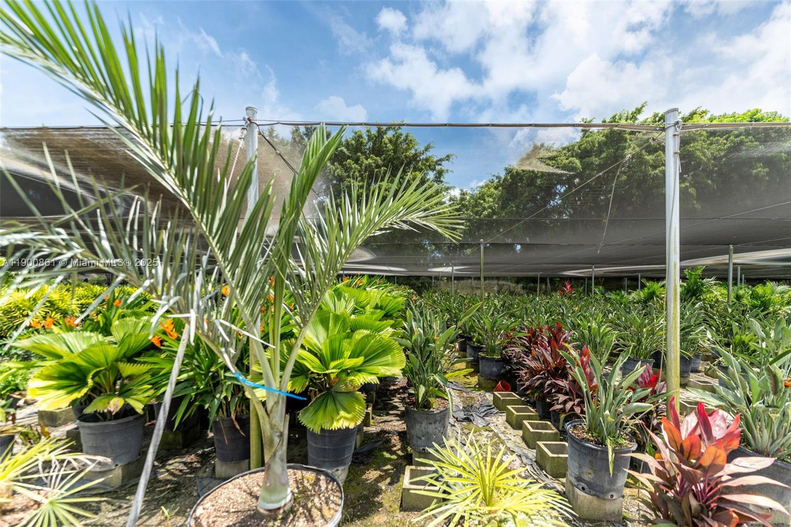 Подробнее / кв.футов $ 2025-10-22 0 Фото