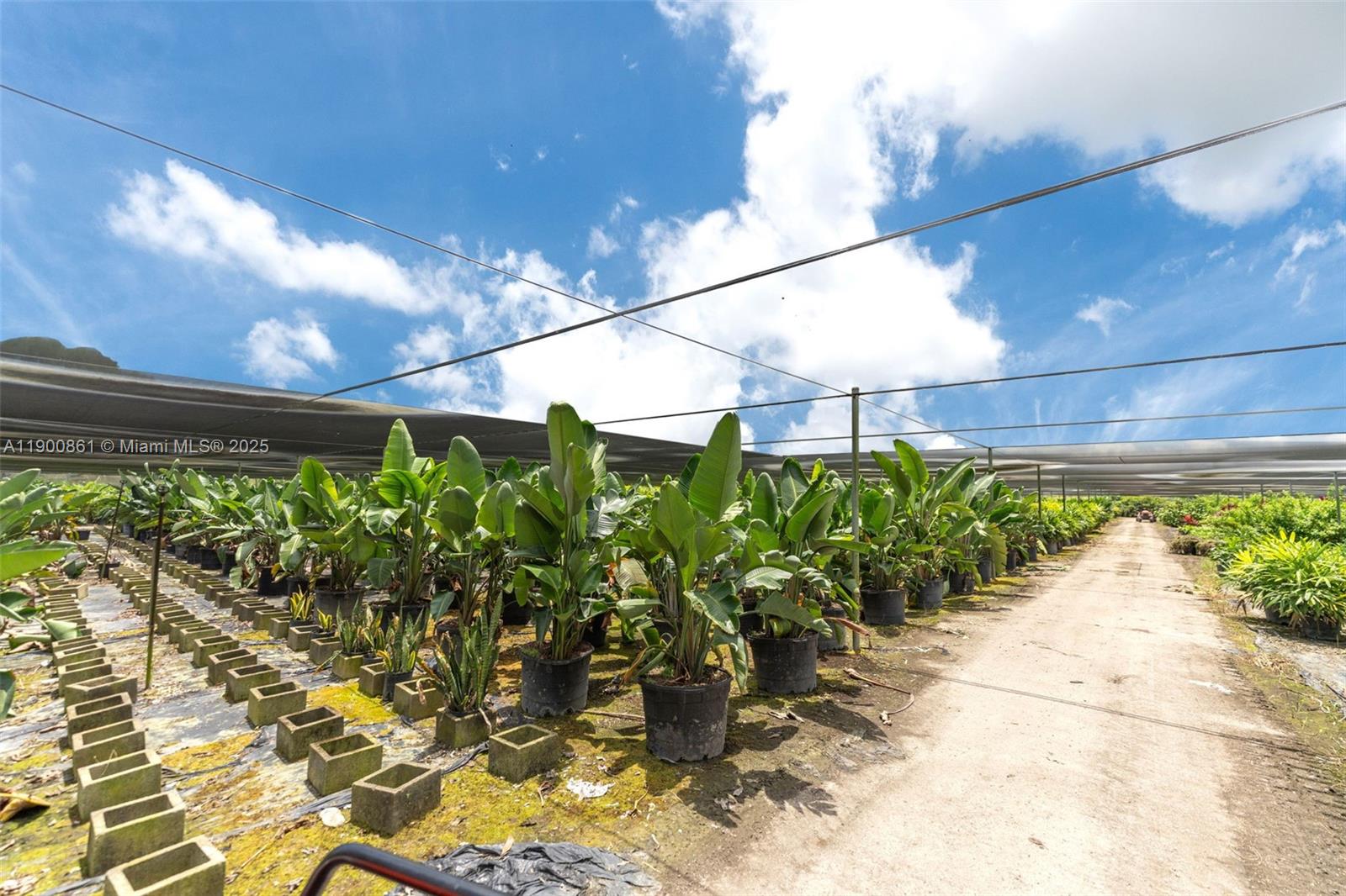 Подробнее / кв.футов $ 2025-10-22 0 Фото