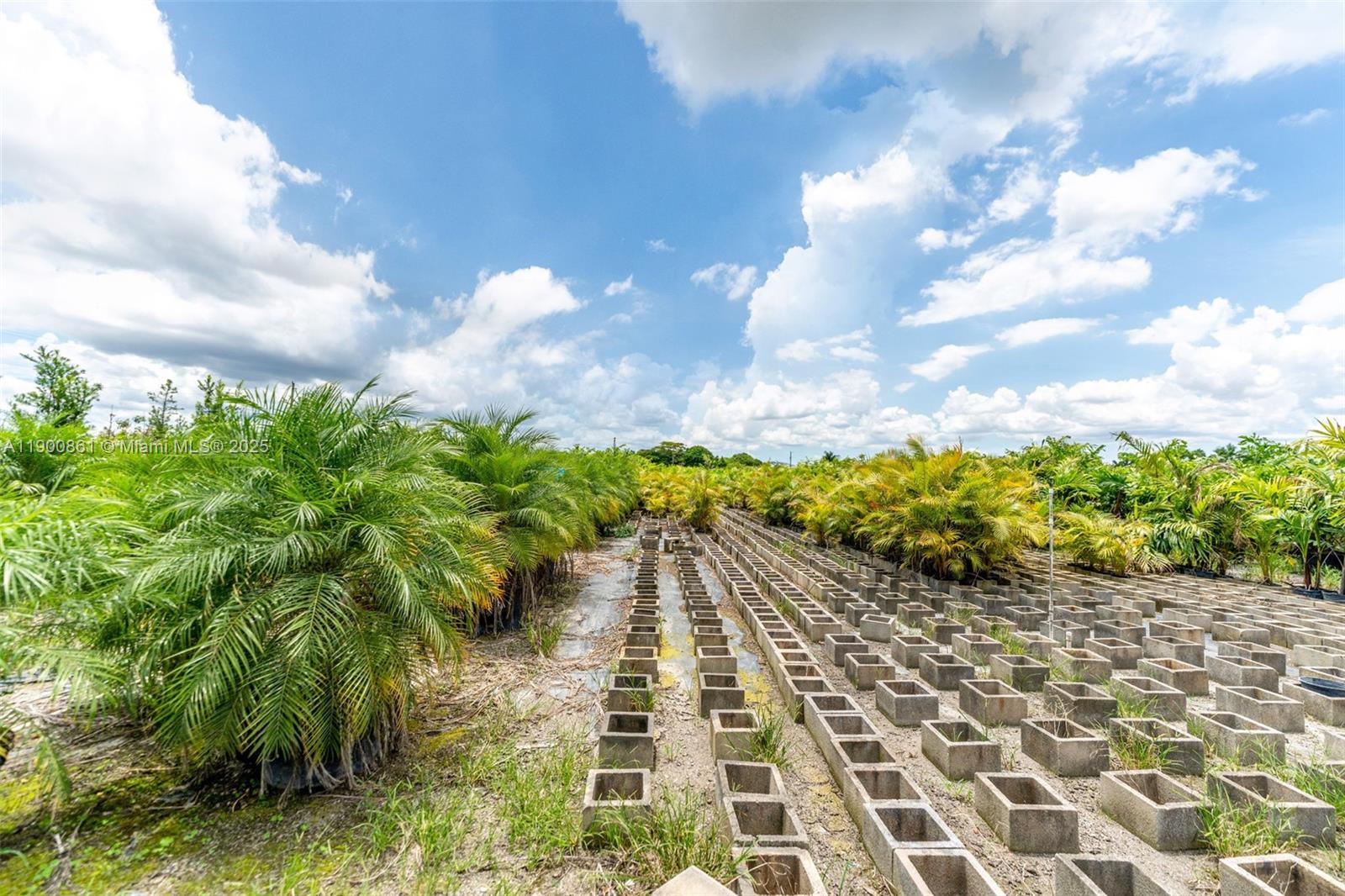 Подробнее / кв.футов $ 2025-10-22 0 Фото