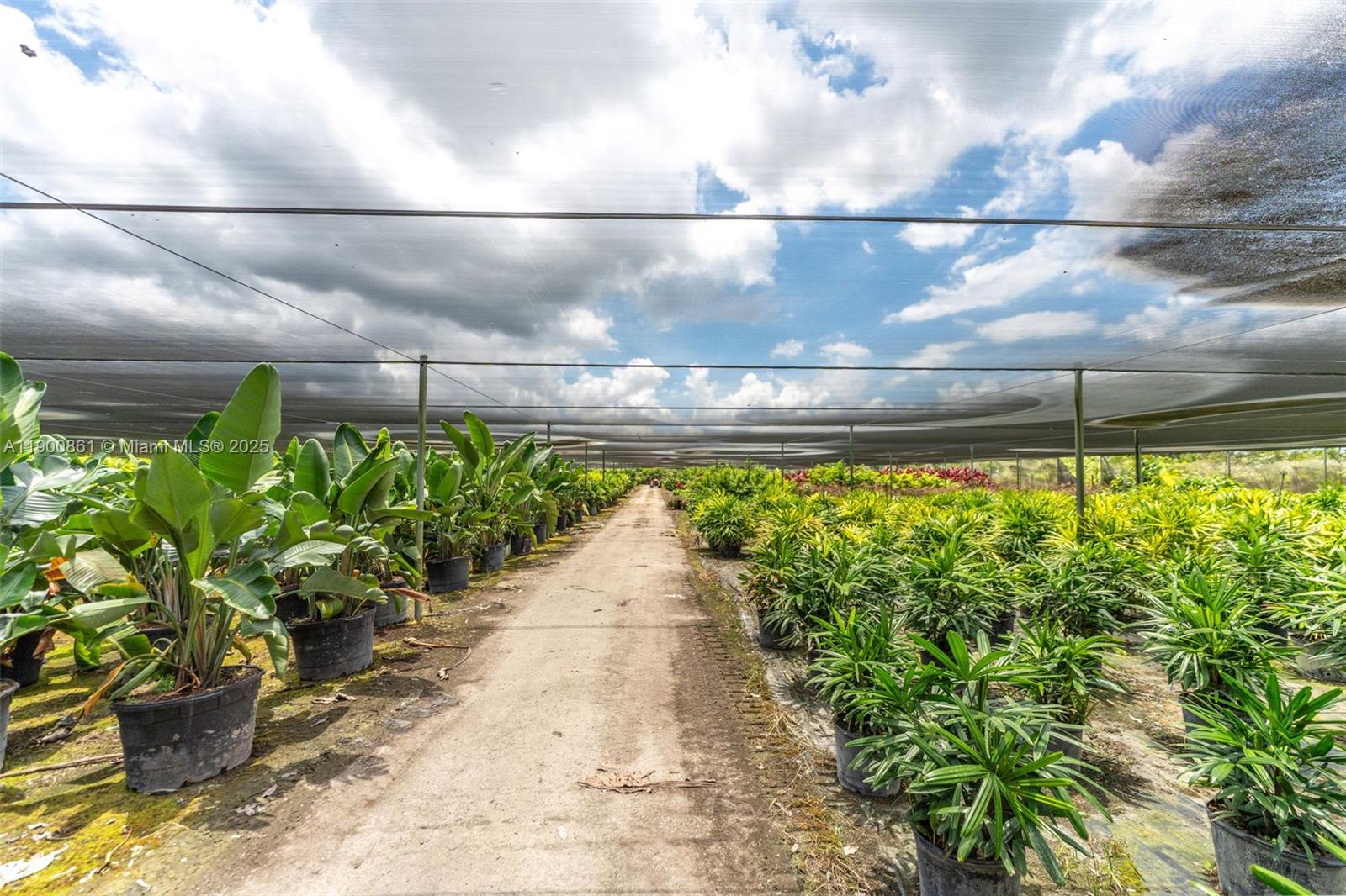 Подробнее / кв.футов $ 2025-10-22 0 Фото