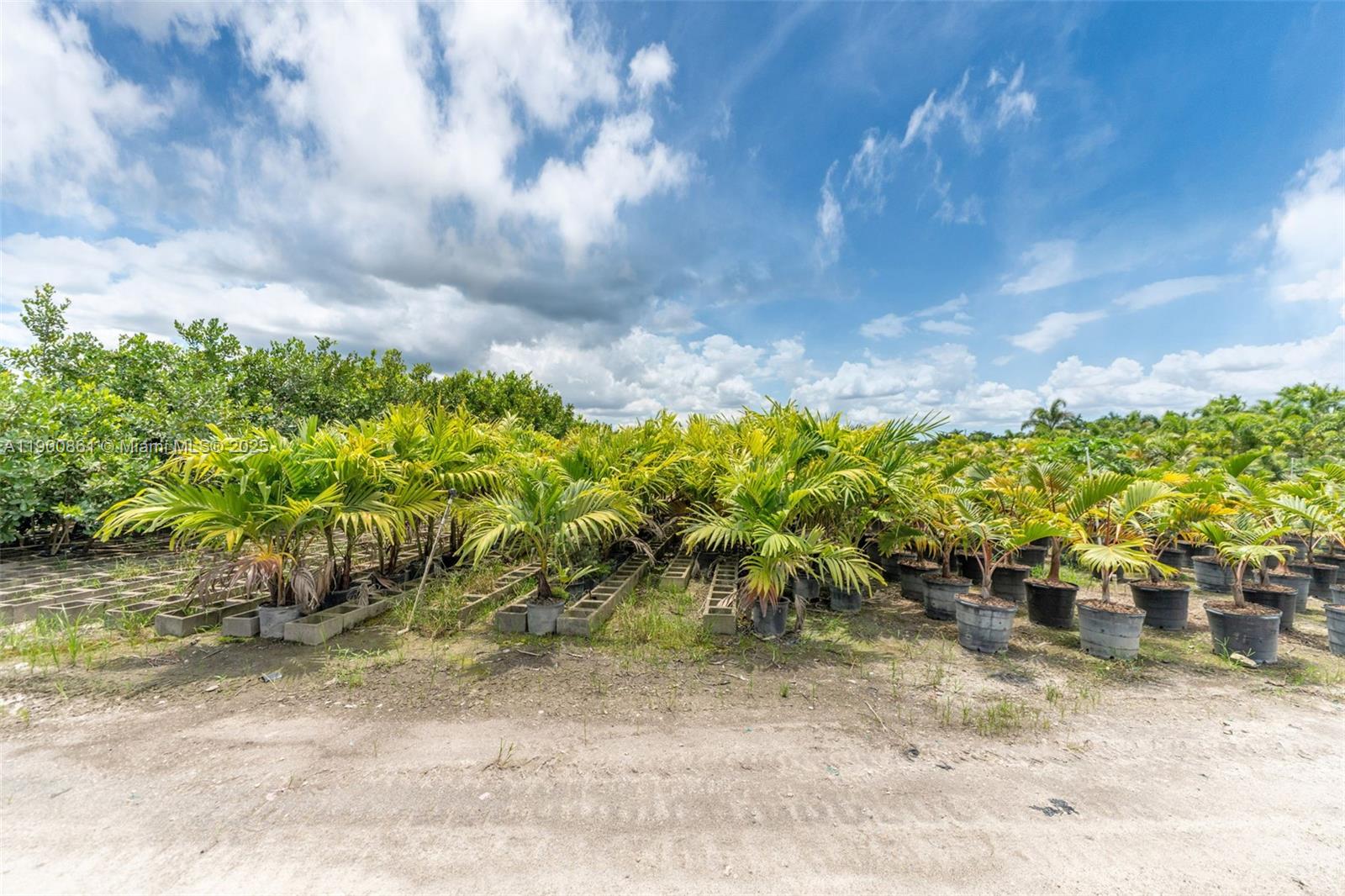 Подробнее / кв.футов $ 2025-10-22 0 Фото