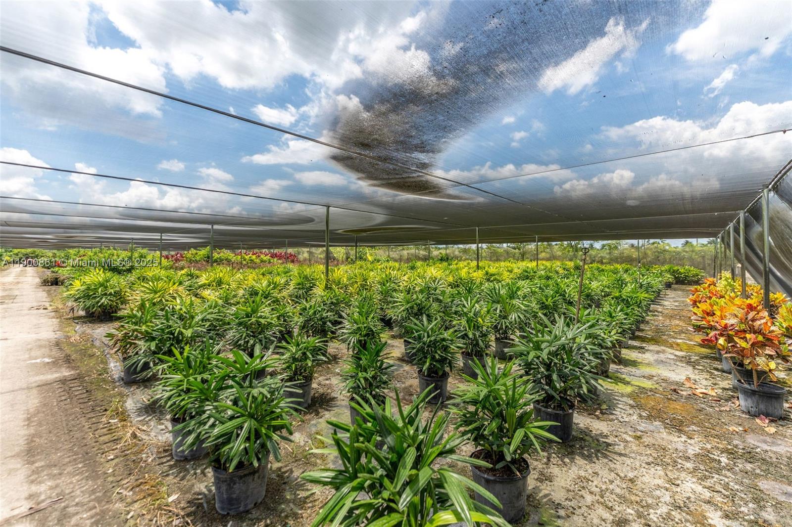 Подробнее / кв.футов $ 2025-10-22 0 Фото