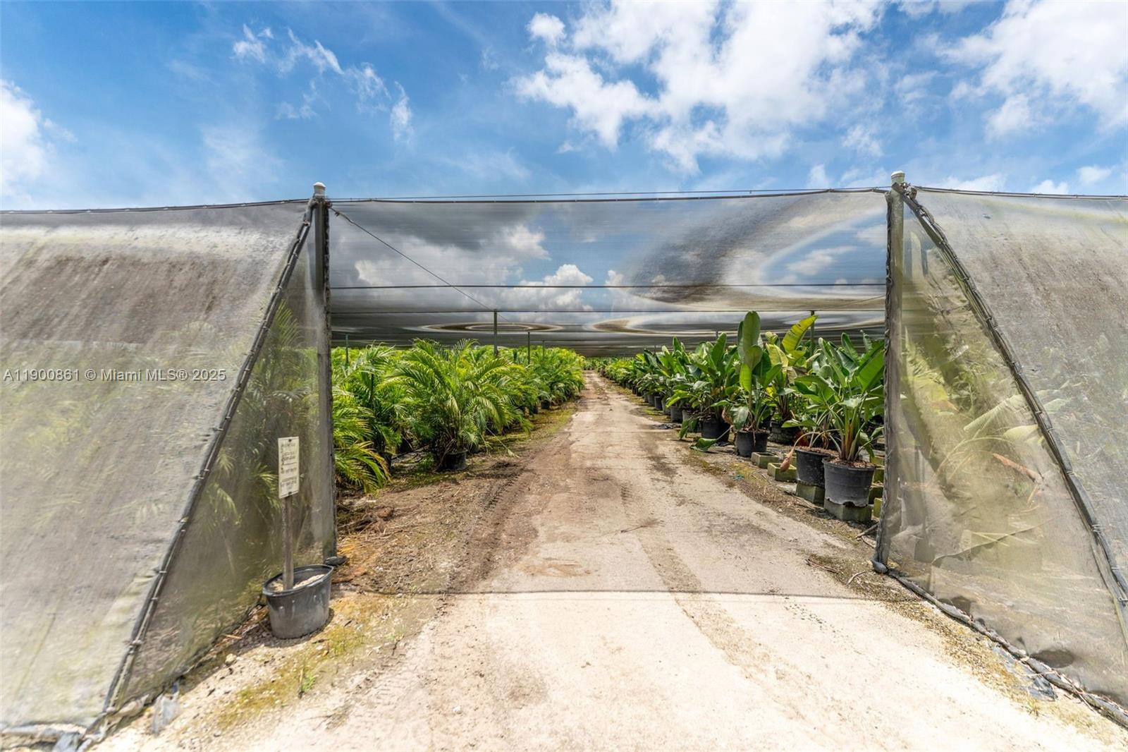 Подробнее / кв.футов $ 2025-10-22 0 Фото