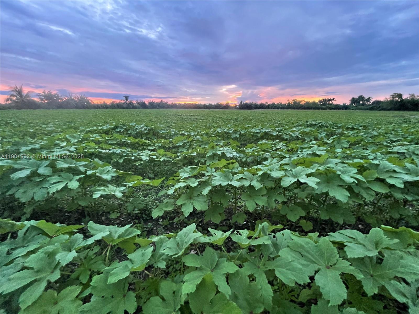 See details   /   sq. ft. $ 2025-10-24 0 Photo