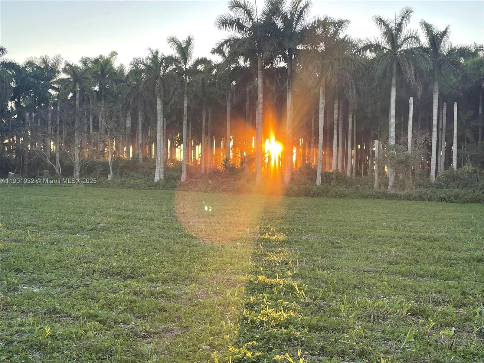 See details   /   sq. ft. $ 2025-10-24 0 Photo