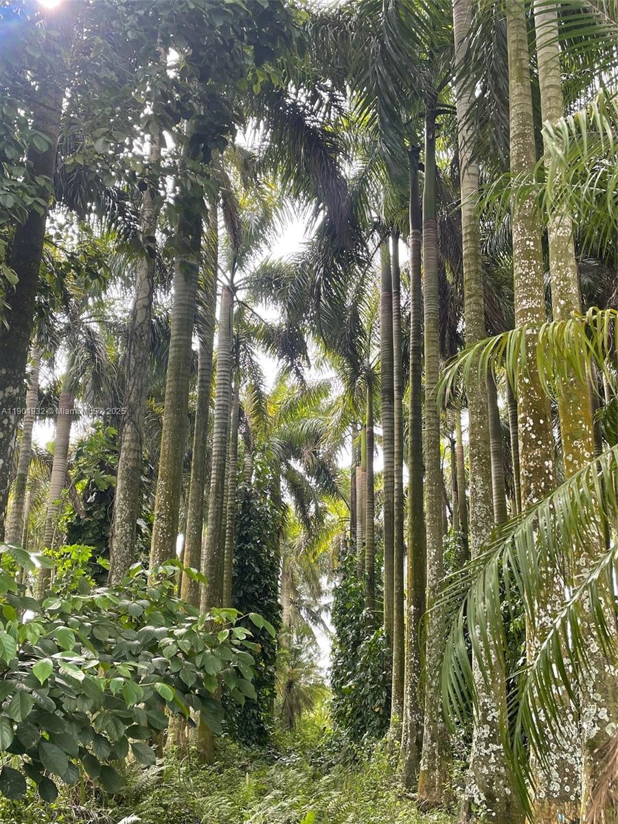 See details   /   sq. ft. $ 2025-10-24 0 Photo