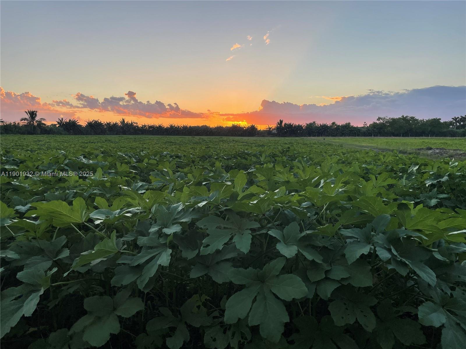 See details   /   sq. ft. $ 2025-10-24 0 Photo