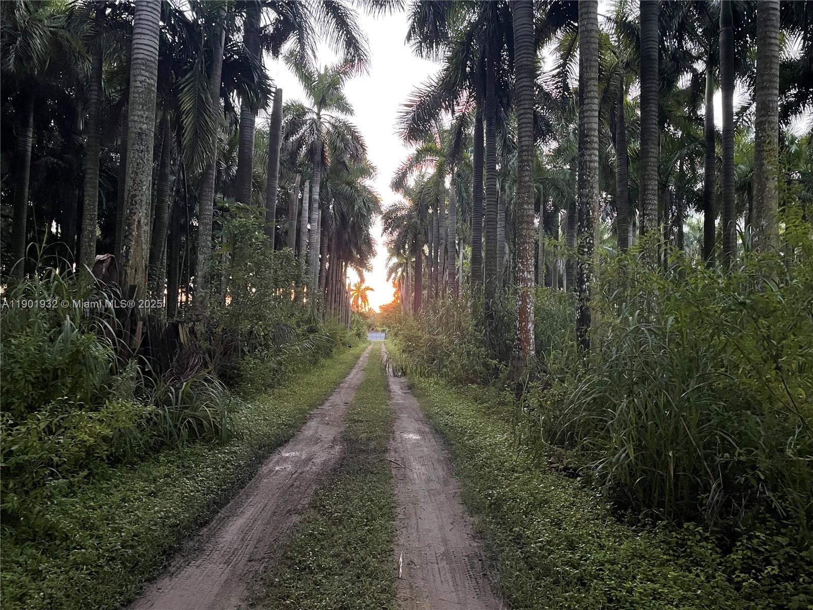 See details   /   sq. ft. $ 2025-10-24 0 Photo