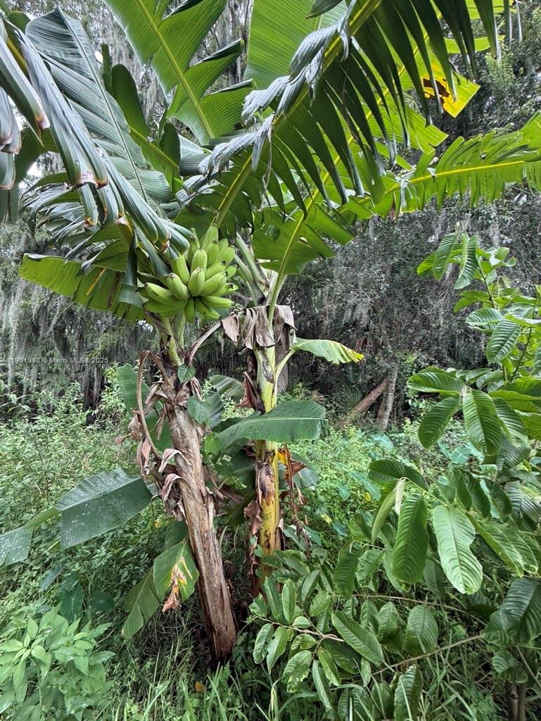 Ver detalles   /   sq. ft. $ 2025-10-24 0 foto