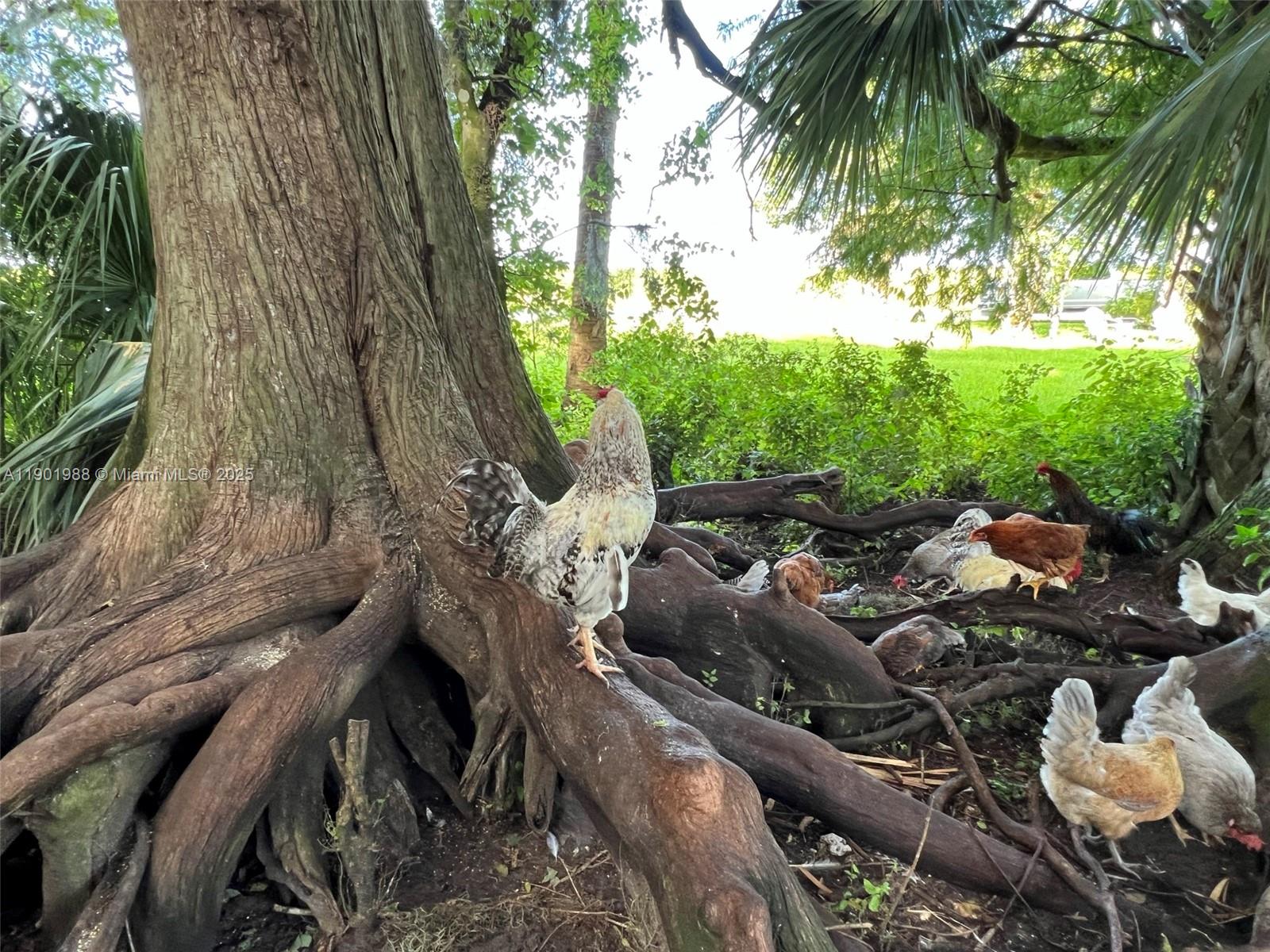 Ver detalles   /   sq. ft. $ 2025-10-24 0 foto