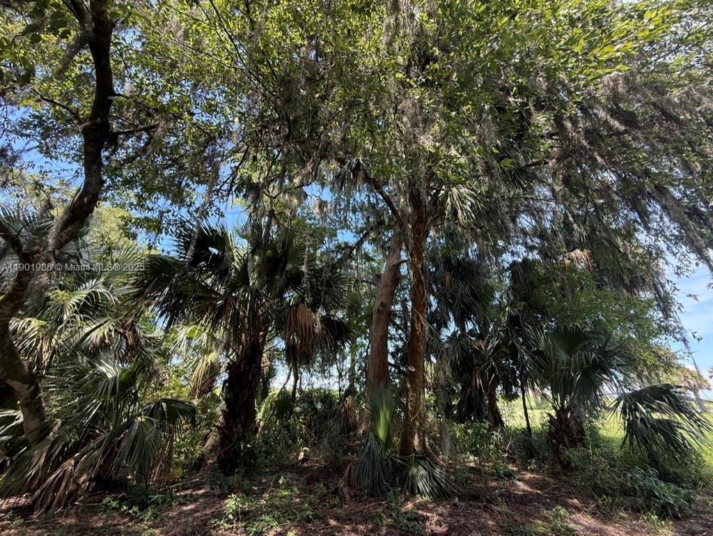 Ver detalles   /   sq. ft. $ 2025-10-24 0 foto