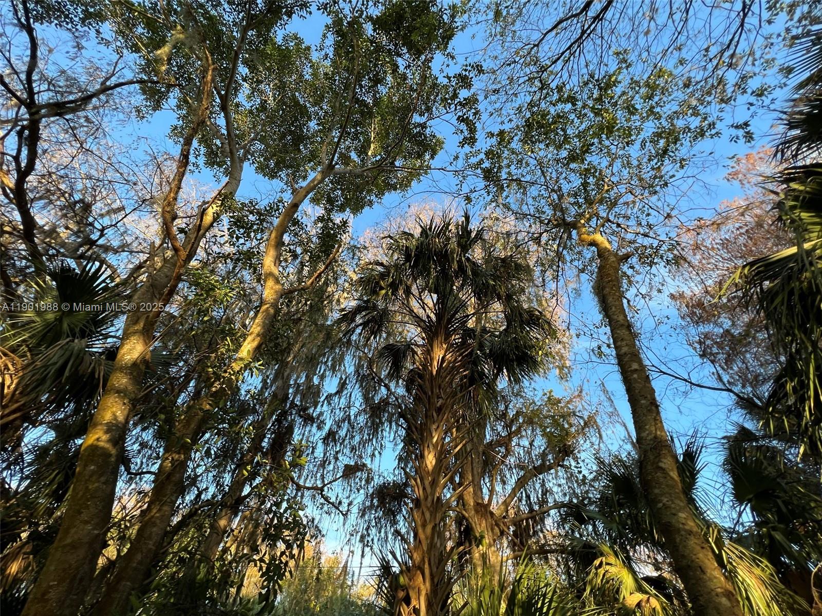 Ver detalles   /   sq. ft. $ 2025-10-24 0 foto