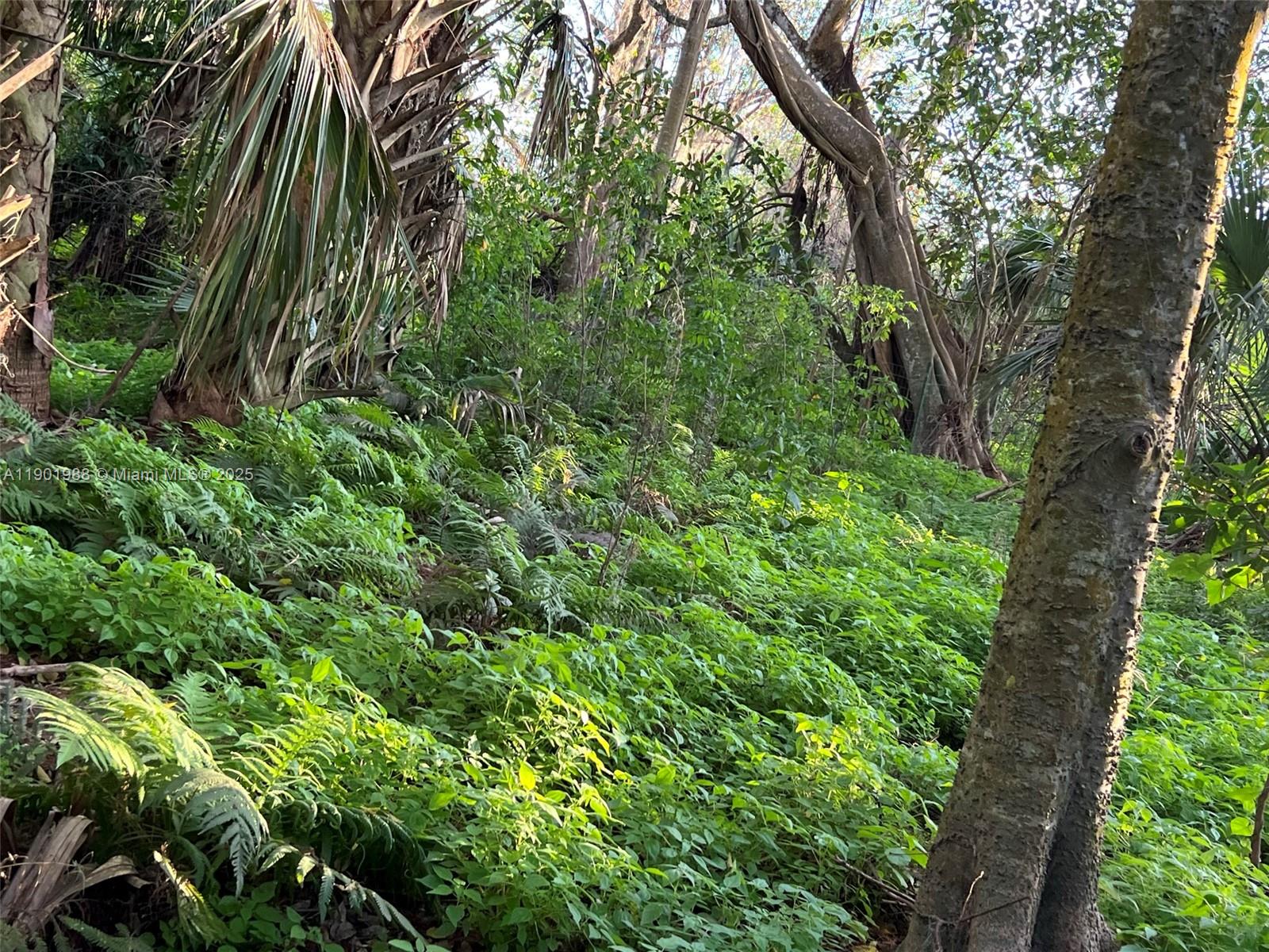 Ver detalles   /   sq. ft. $ 2025-10-24 0 foto