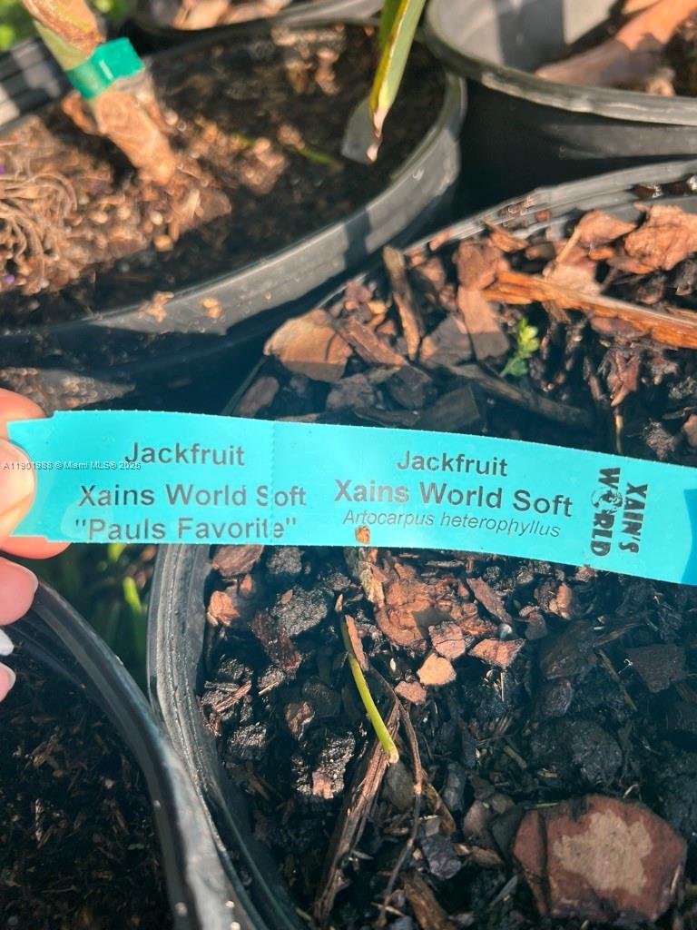 Ver detalles   /   sq. ft. $ 2025-10-24 0 foto