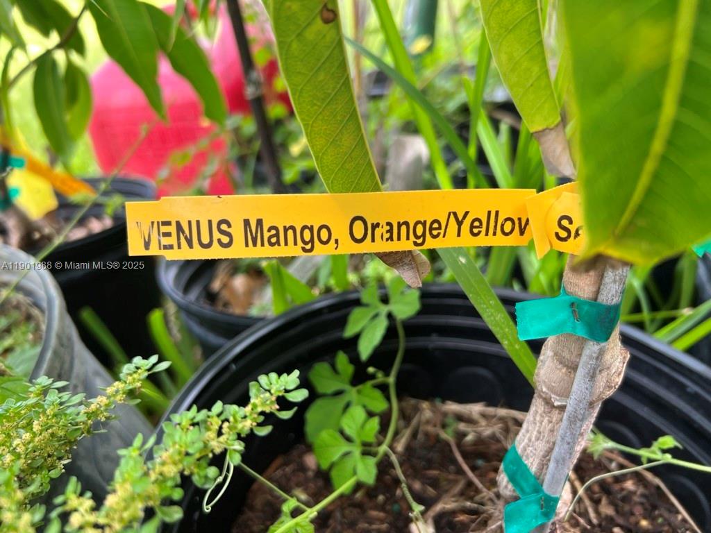 Ver detalles   /   sq. ft. $ 2025-10-24 0 foto