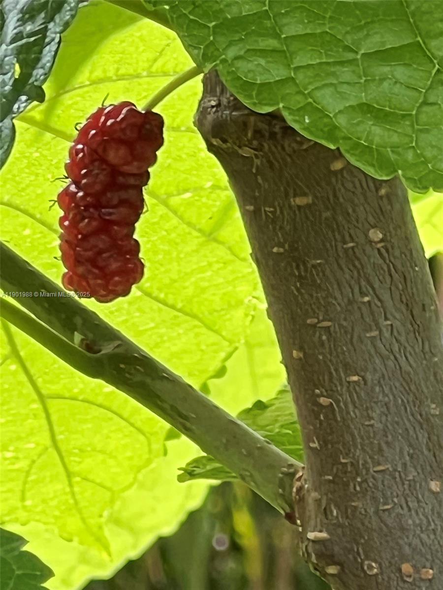 Ver detalles   /   sq. ft. $ 2025-10-24 0 foto