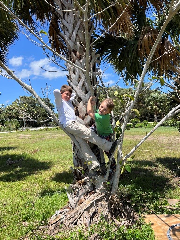 Ver detalles   /   sq. ft. $ 2025-10-24 0 foto