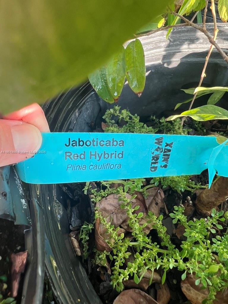 Ver detalles   /   sq. ft. $ 2025-10-24 0 foto