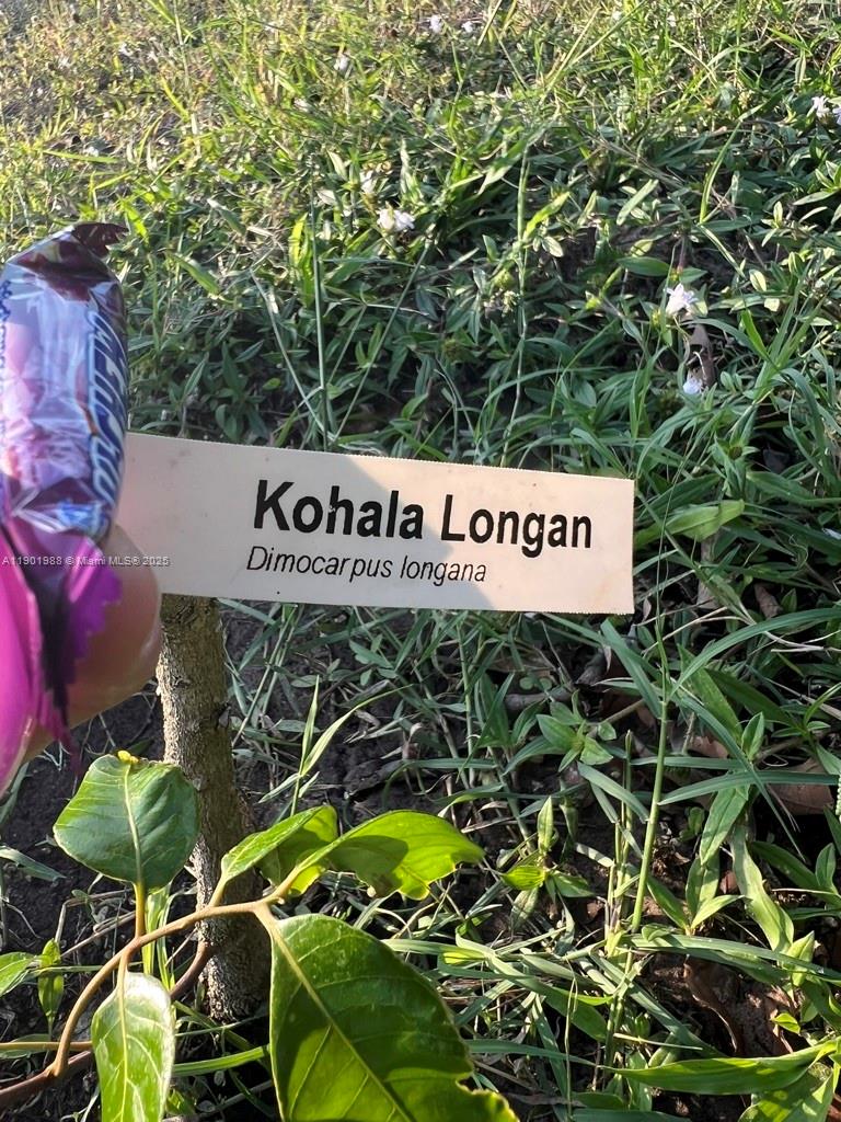 Ver detalles   /   sq. ft. $ 2025-10-24 0 foto