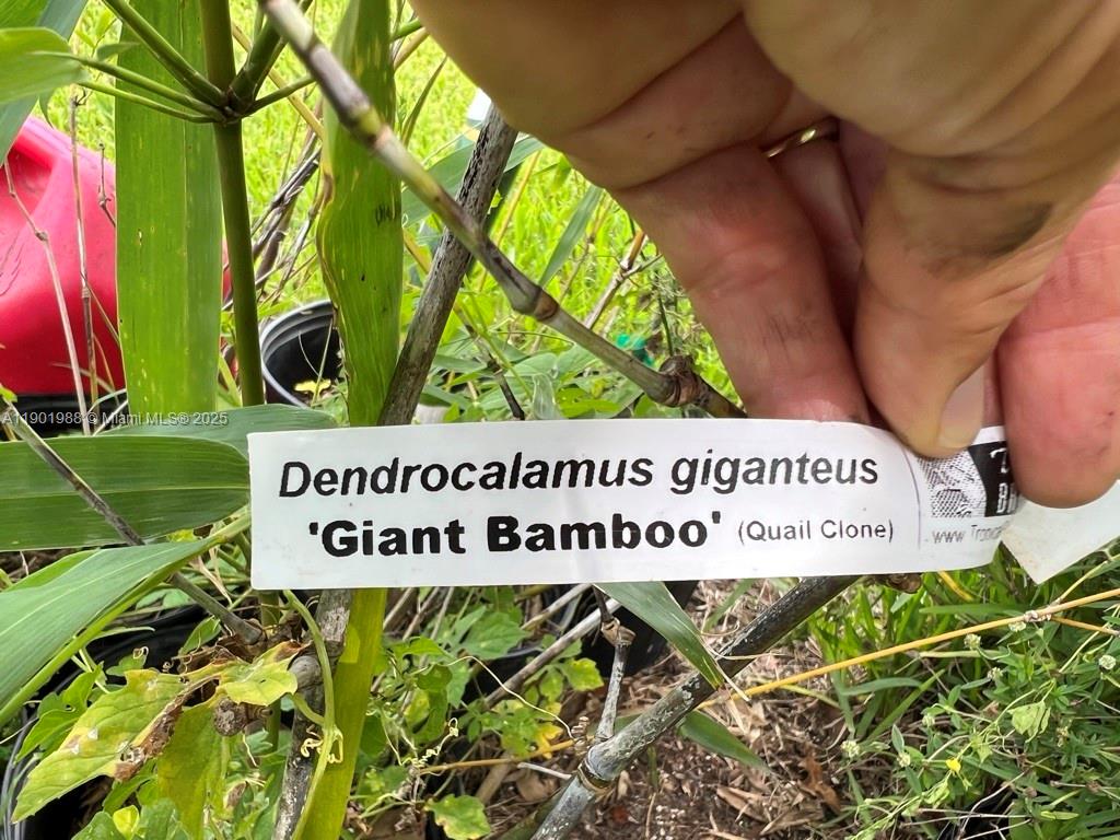 Ver detalles   /   sq. ft. $ 2025-10-24 0 foto