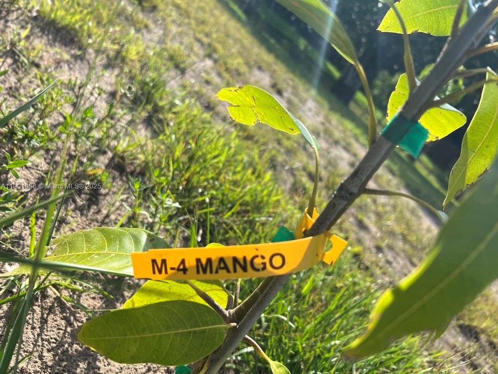 Ver detalles   /   sq. ft. $ 2025-10-24 0 foto