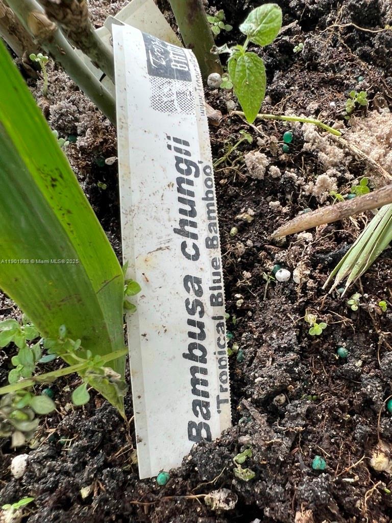 Ver detalles   /   sq. ft. $ 2025-10-24 0 foto