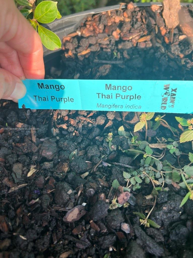 Ver detalles   /   sq. ft. $ 2025-10-24 0 foto