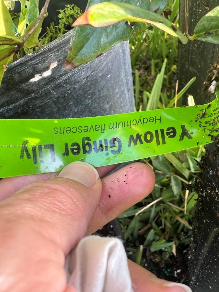 Ver detalles   /   sq. ft. $ 2025-10-24 0 foto