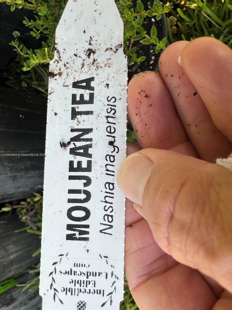 Ver detalles   /   sq. ft. $ 2025-10-24 0 foto