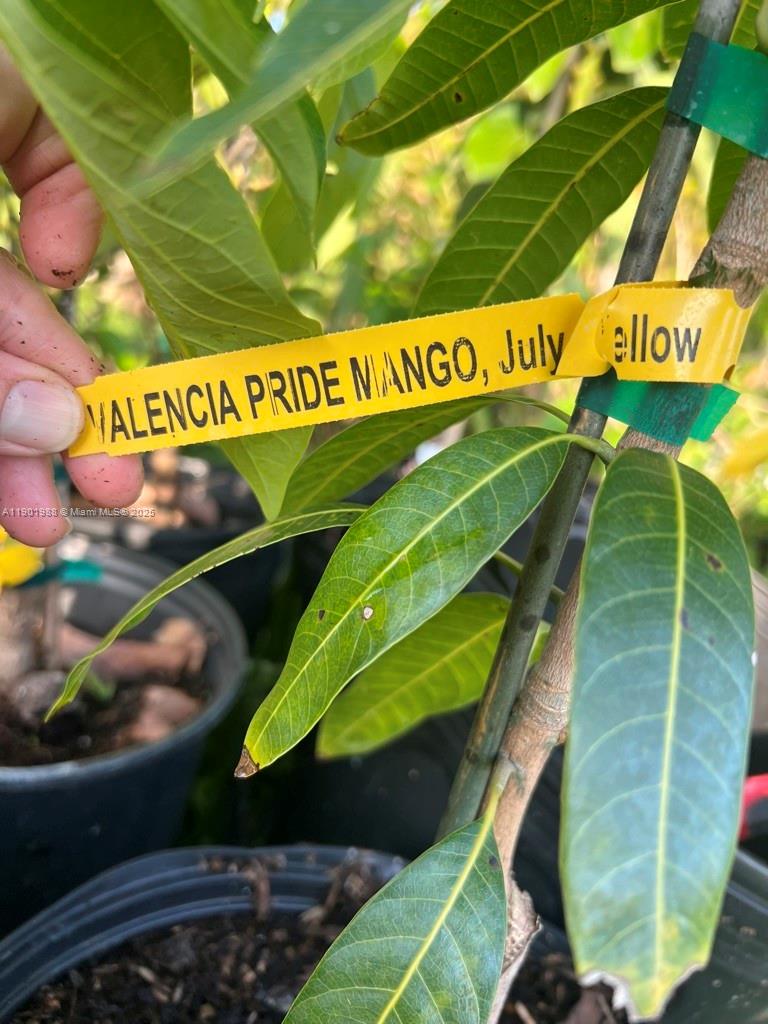 Ver detalles   /   sq. ft. $ 2025-10-24 0 foto