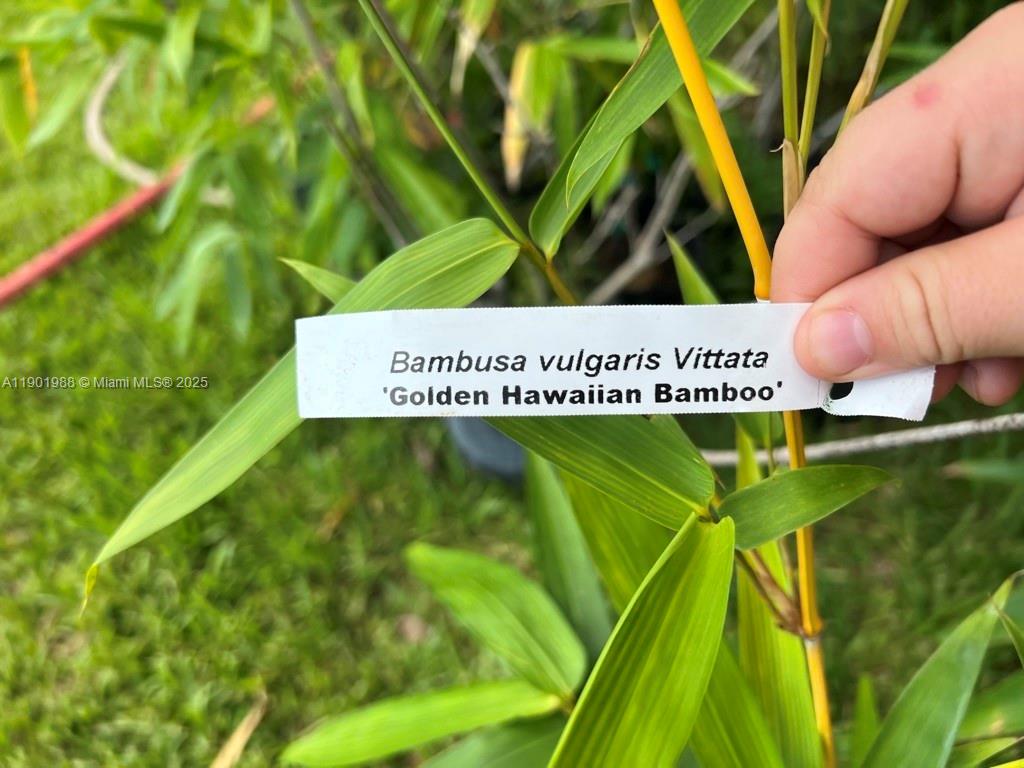 Ver detalles   /   sq. ft. $ 2025-10-24 0 foto