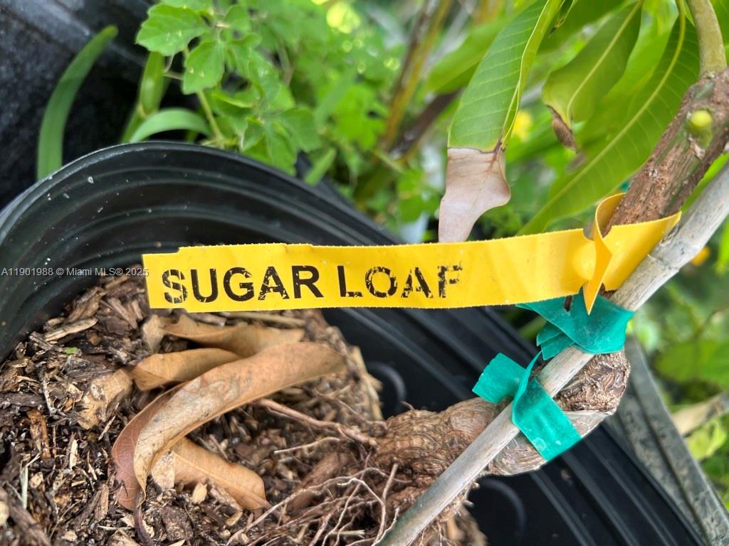 Ver detalles   /   sq. ft. $ 2025-10-24 0 foto