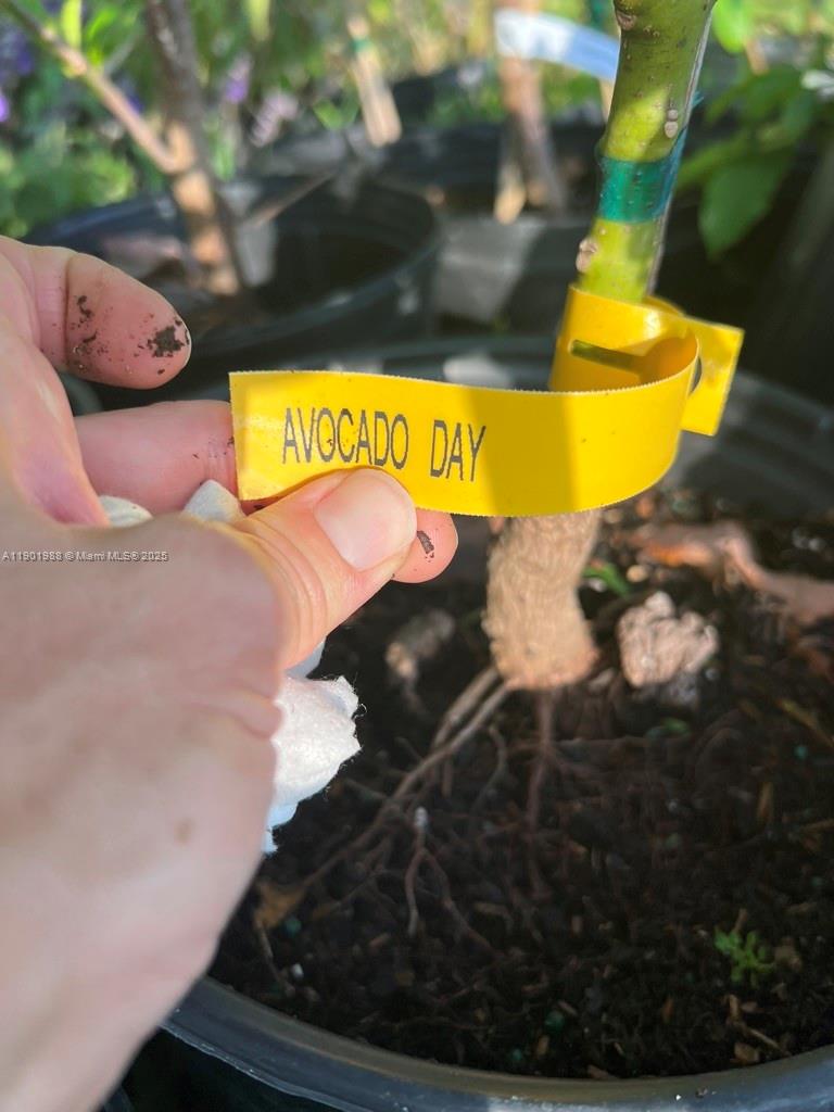 Ver detalles   /   sq. ft. $ 2025-10-24 0 foto