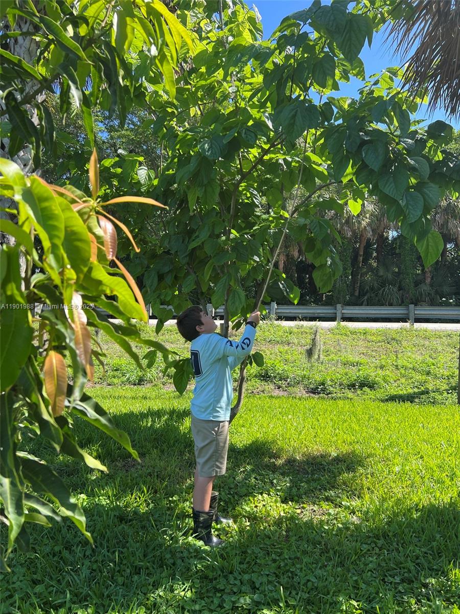 Ver detalles   /   sq. ft. $ 2025-10-24 0 foto